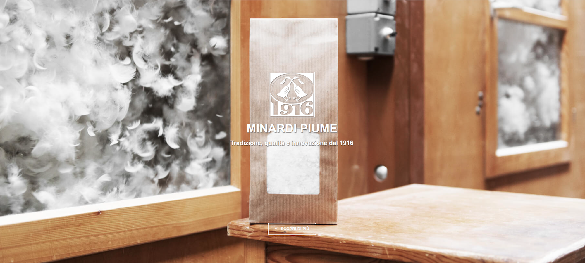 minardi-piume